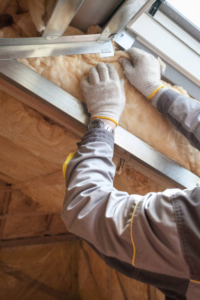 Best Insulation Maintenance and Repair in Sheldon, TX