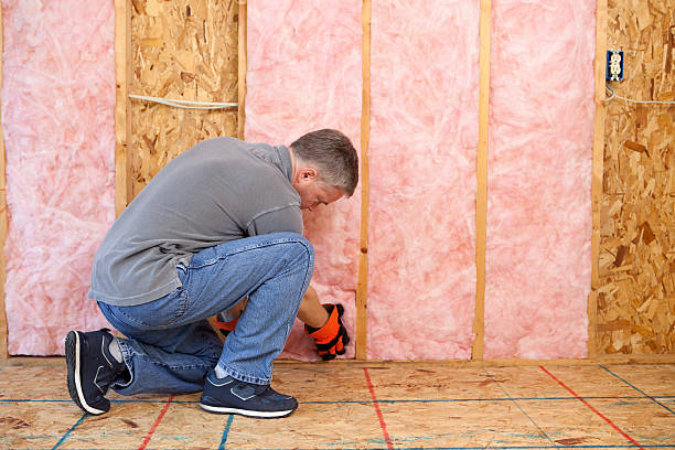 Best Residential Insulation in Sheldon, TX